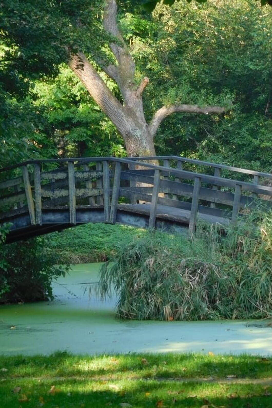 Bruggetje