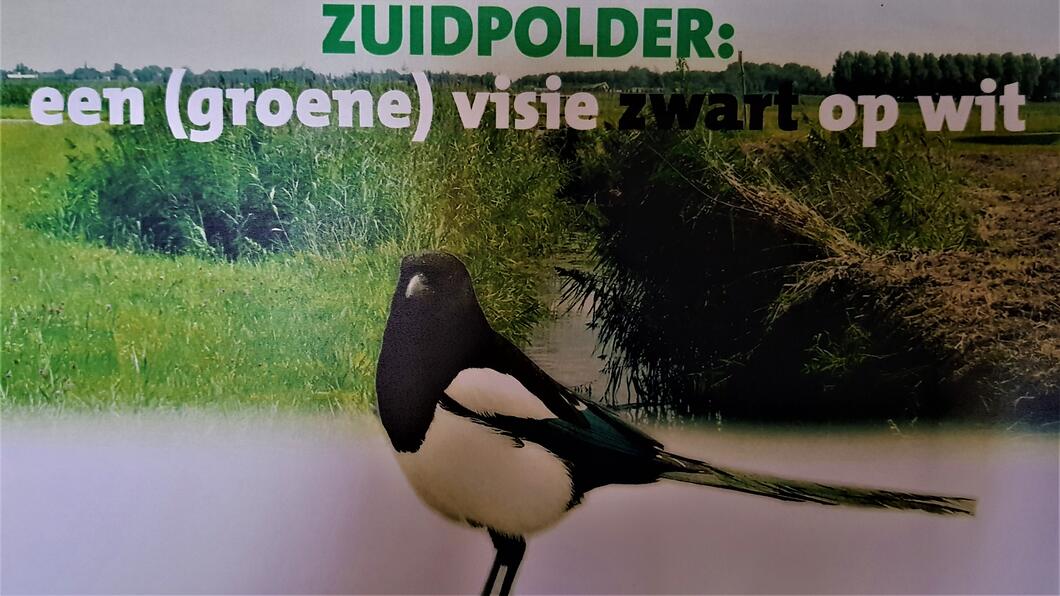 Zuidpolder; een groene visie zwart op wit