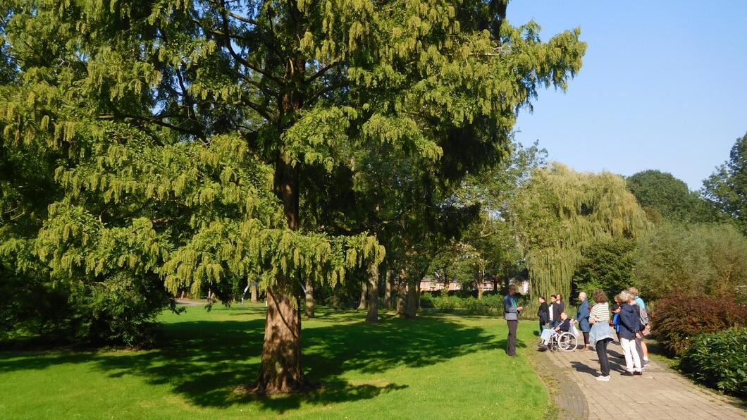 Bomenwandeling Barendrecht