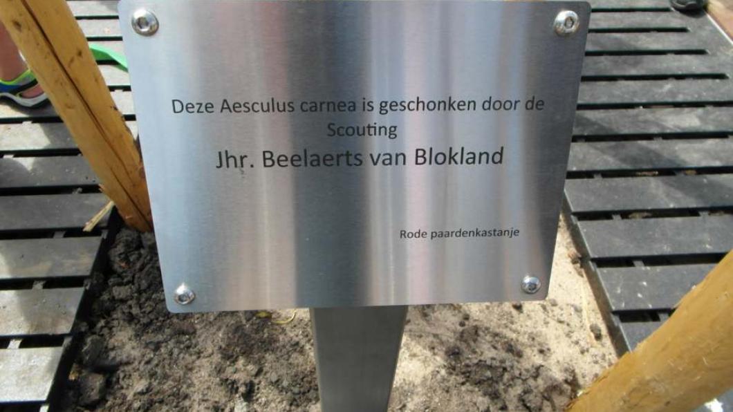 Foto scoutingboom.jpg