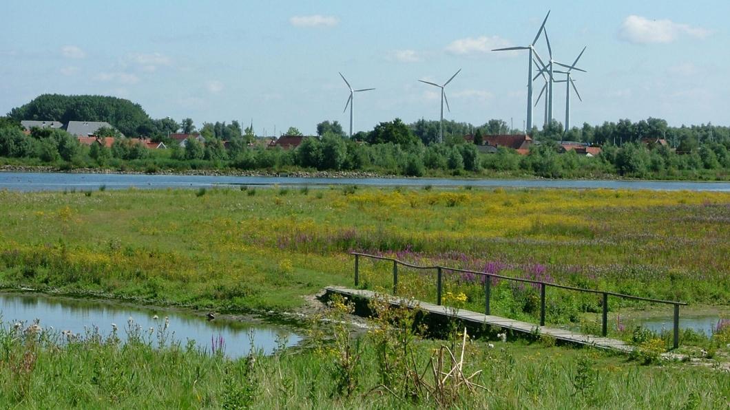 Windmolens bij Strijensas_Kopie.jpg