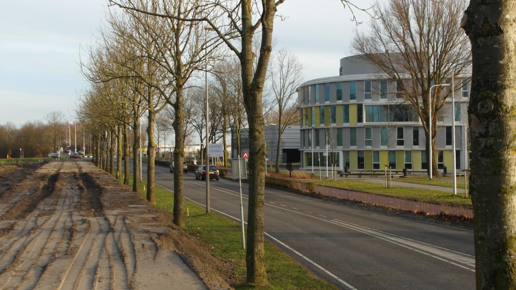 dierensteinweg3.jpg