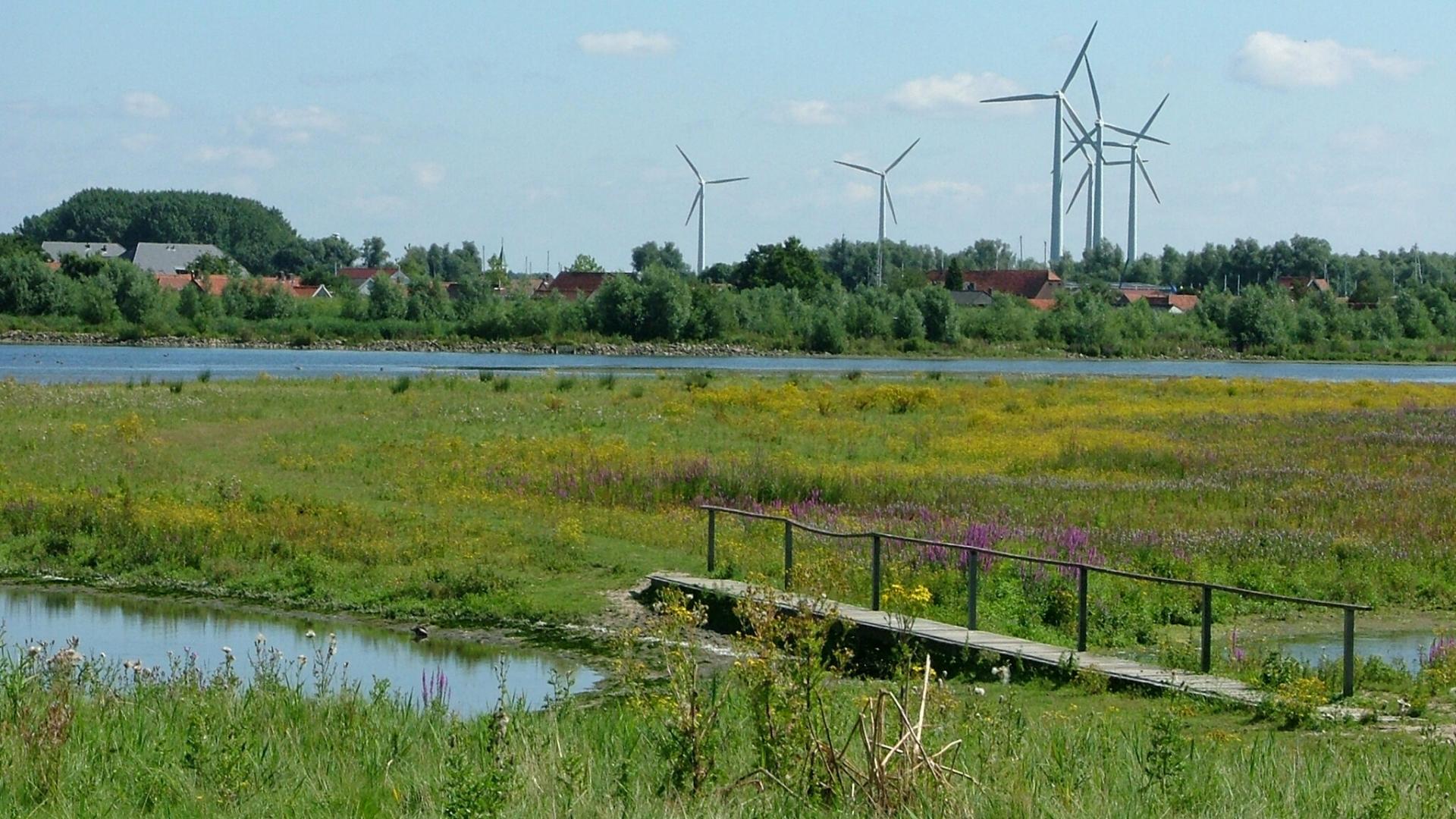Windmolens bij Strijensas_Kopie.jpg